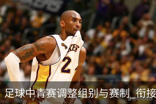 足球中青赛调整组别与赛制 衔接职业联赛